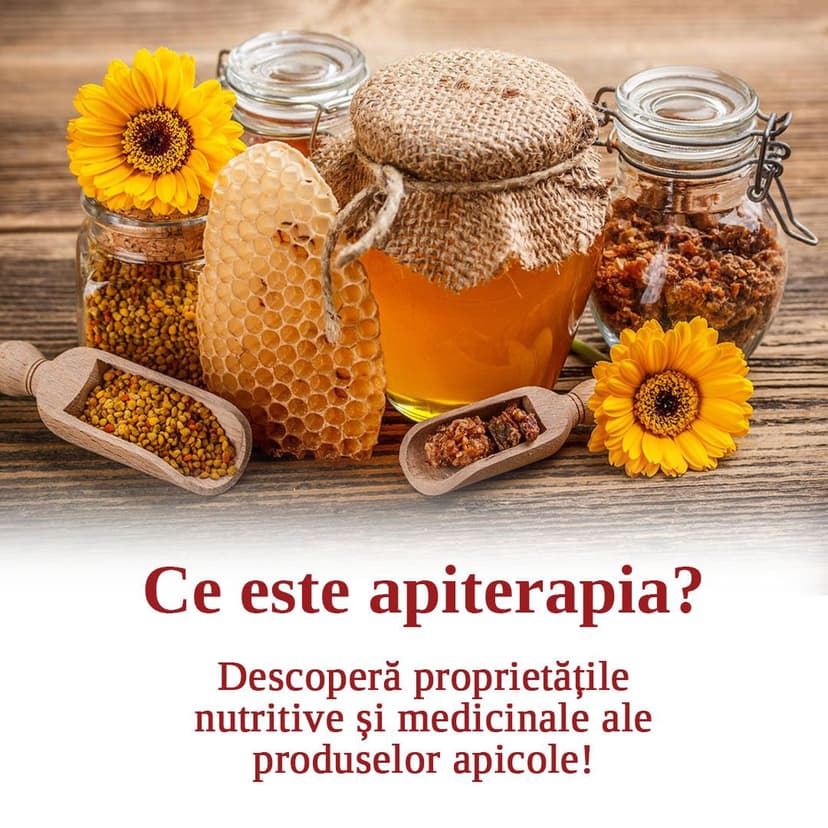 Spitalul Samaritean Ziua Mondială a Albinelor: 20 mai